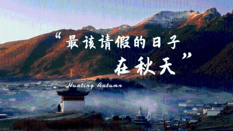 大千世界须臾至，石烂松枯当一秋-乐高悟空小侠80054万千城评测