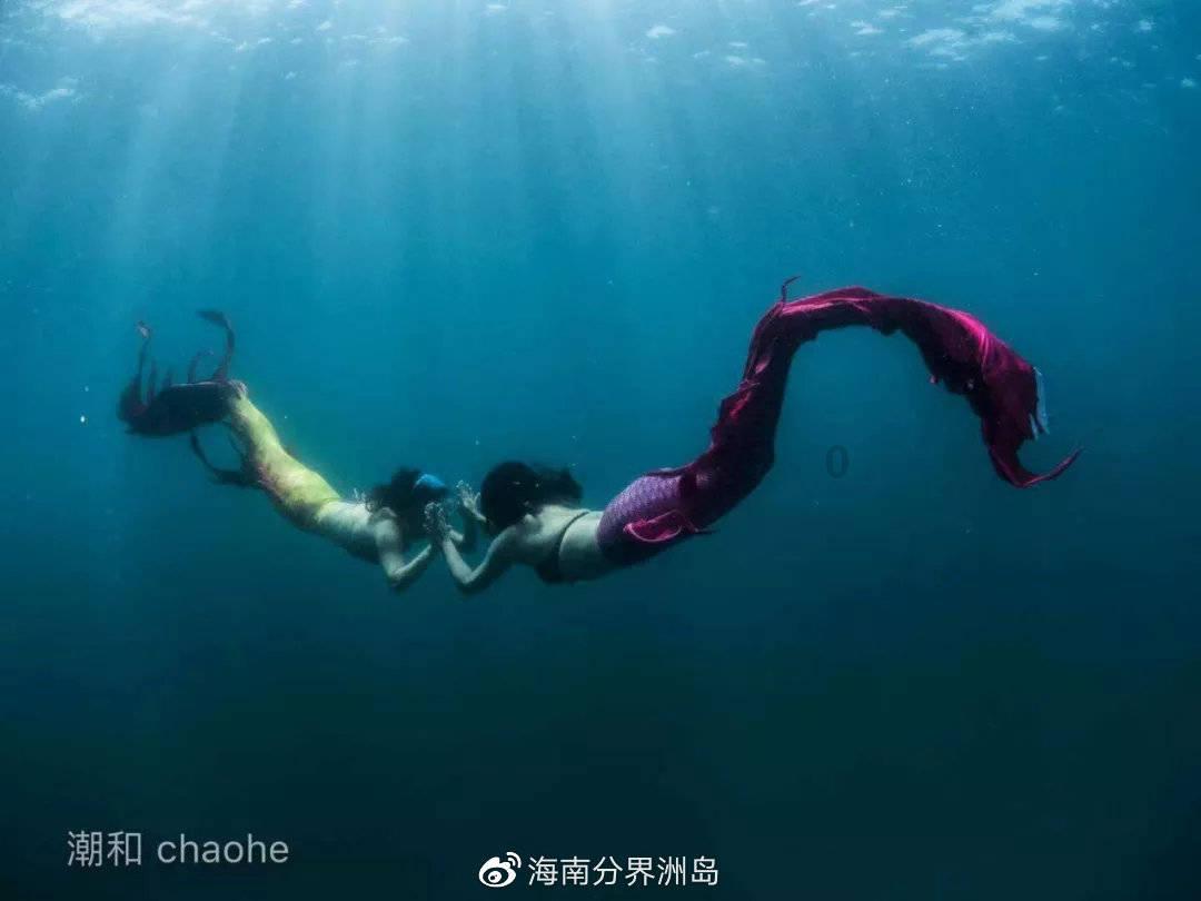 云南优车联动科技有限公司被罚款3000元