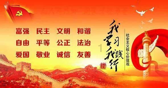 跟着委员去“探店”