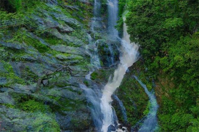 钟南山父亲，国士无双，为研究病毒奉献一生，却要求不办追悼会