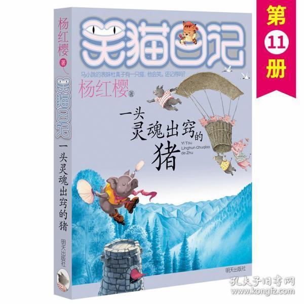 人民网专访广西人大代表、兴业县县长王永坚